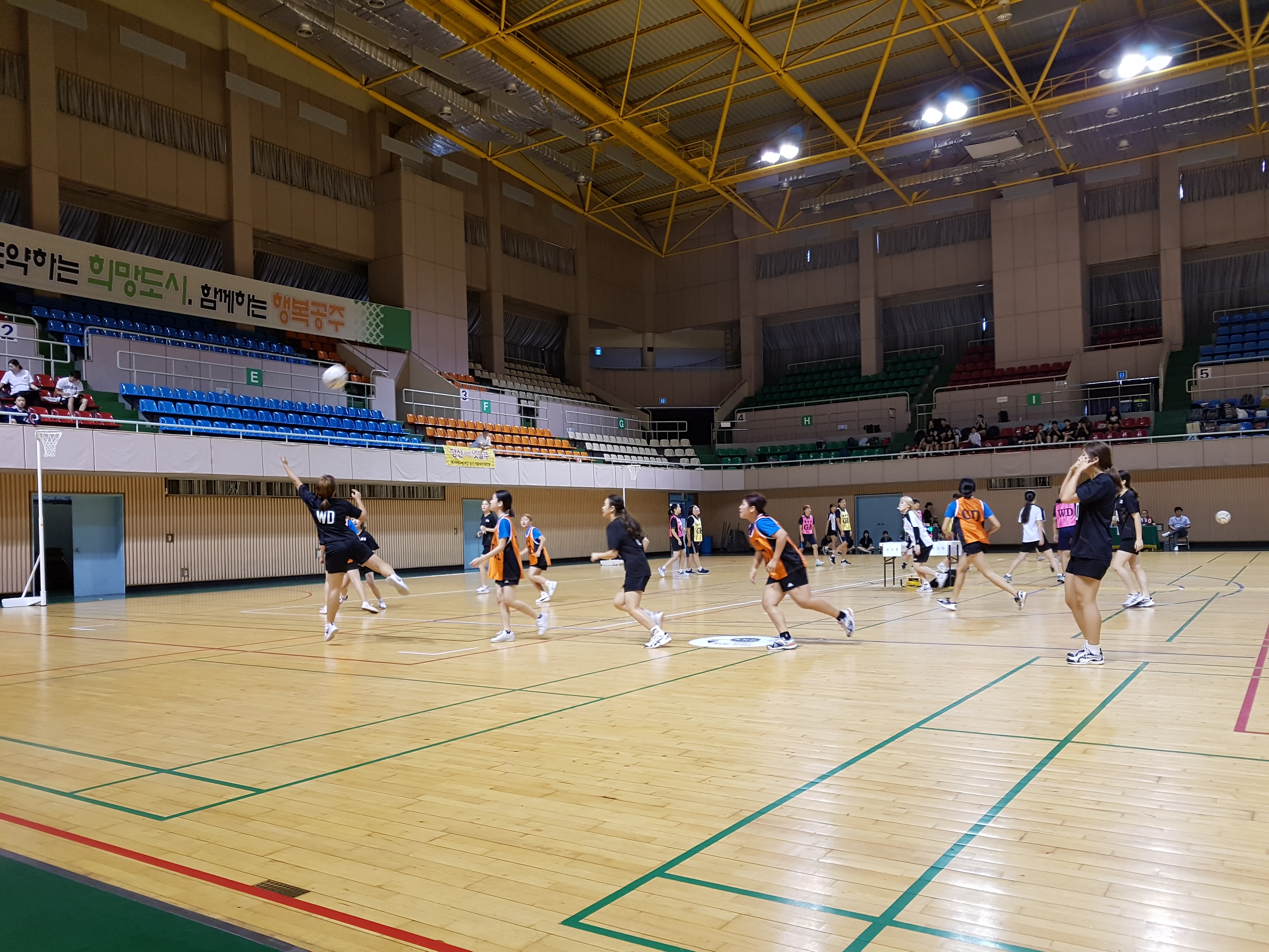 20170729_090242.jpg