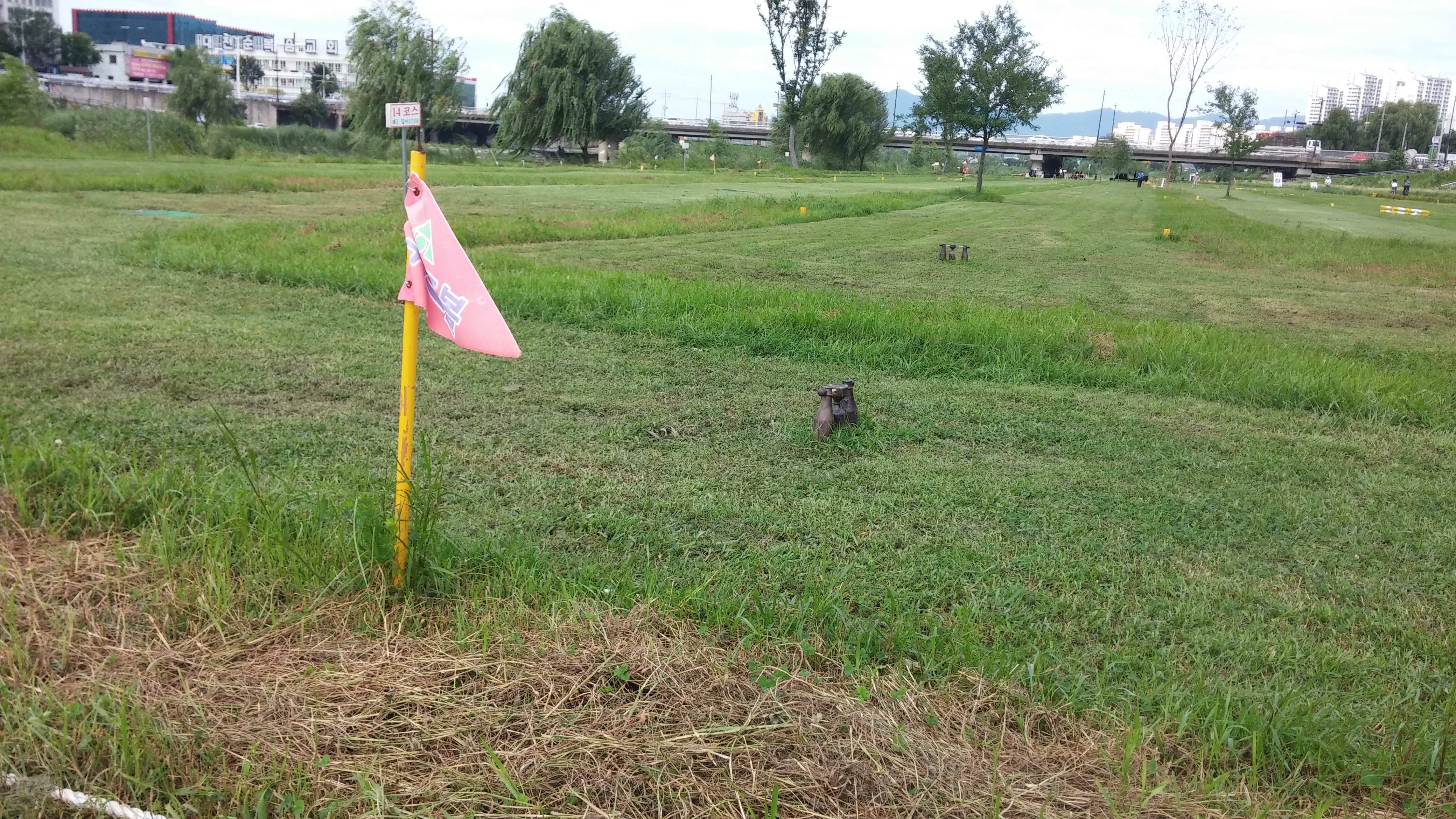 20140809_151659.jpg