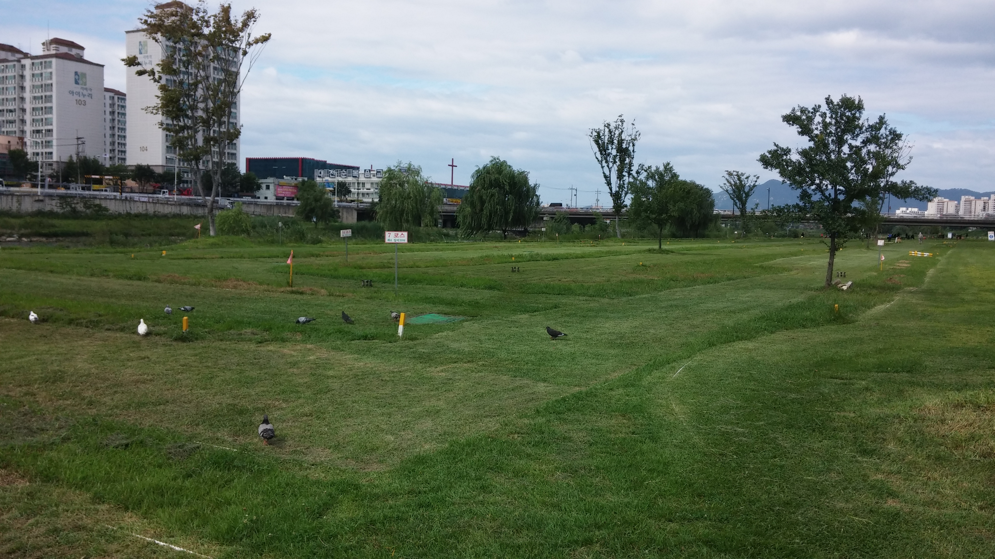 20140809_151625.jpg