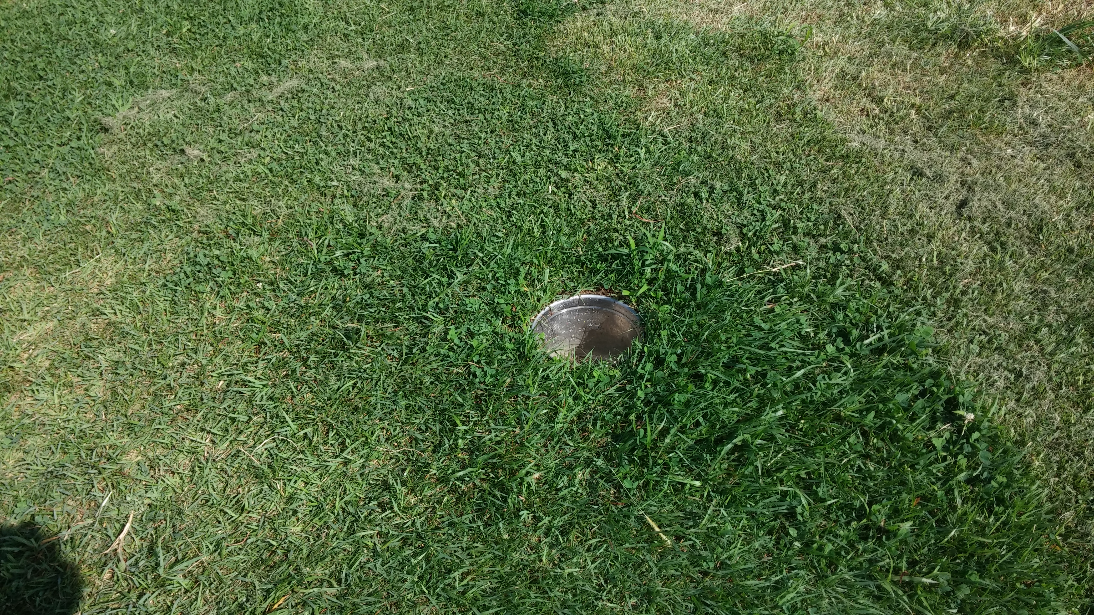 20140809_153627.jpg