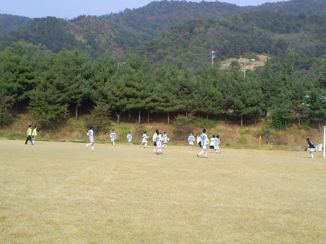 S5030968.jpg