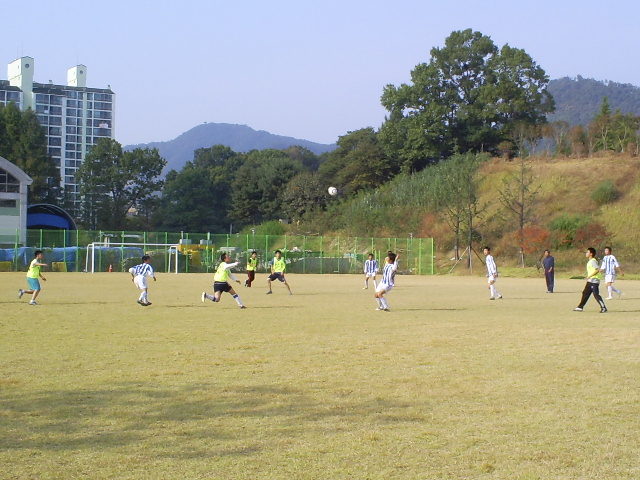 S5030969.jpg