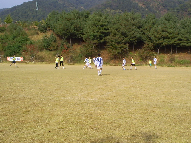 S5030970.jpg